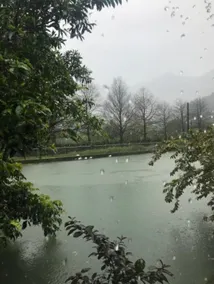 永樂冷泉生態農莊 - Image 4