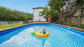 Gapyeong Daengdaengi Dog Pension Silver - Image 3