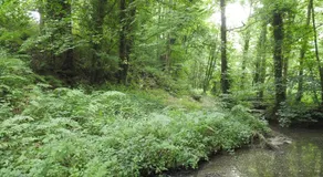 L'Etang - Image 5