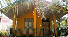 Yala Eco Shine - Image 2