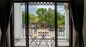 Stay White Orchid - Image 3