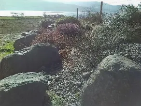 Currane Lodge - Image 3