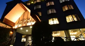 Ashinomaki Prince Hotel - Vacation STAY 55298v - Image 4