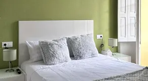 APARTAMENTOs TURÍSTICOS PLAZA ATOCHAS # 4 - Image 2