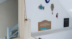 Thalassenia Studios - Image 5