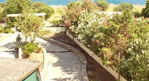 Athina - Image 5