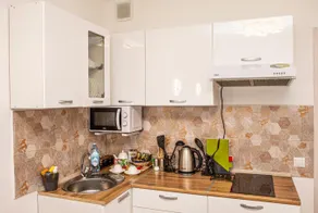 Cozy studio apartment with mountain view - Image 5