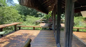 Paradise in Rio - Image 3