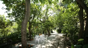 B&b L' Arancio in fiore - Image 3