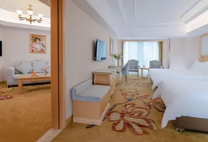 Vienna Hotel Hunan Didong New District - Image 2