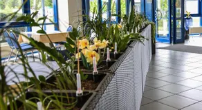 Central-Hotel Eberswalde - Image 3