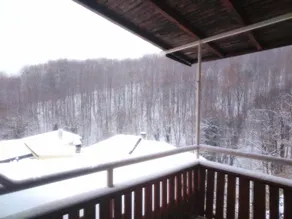 Forest View, Pet friendly Chalet with a garden - Image 3