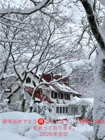 Pension Akemanomori - Image 3