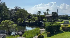 SakuraPiso - Image 5