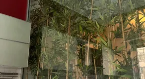 Bambhouse - Appartamento nuovo - Image 5