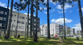 Apartamento em Campo Largo com Lava e Seca - Image 4