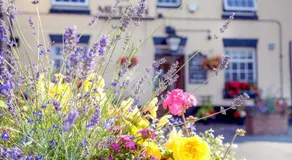 The Shoulder Of Mutton Inn - Image 4