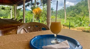 Rainforest Holiday Inn - Image 3