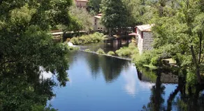 Casa de las Flores Sober Ribeira Sacra - Image 4