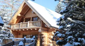 Almzauber Chalets - Haus Enzian inkl Infrarotliegen - Image 5