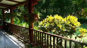 Finca Jerusalen - Image 3