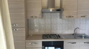 Home Zeus - Image 3