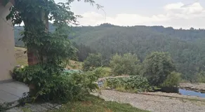 CHAMBRES D'HÔTES DE MALVALETTE - Image 2