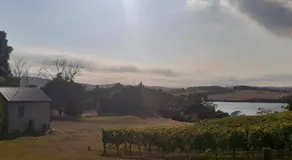 NEST- Luxury Vineyard Accommodation - Image 5