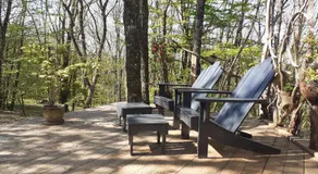 La cabane de l'oiseau - Image 5