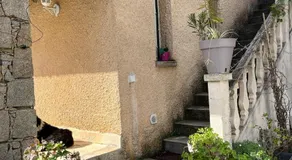 olmareddu - Image 5