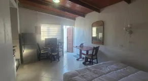 Palm Beach 278 - Image 2