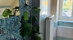 Hotel Chata ve Volarech Šumava - Image 2