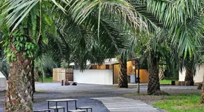 khaolakcamping - Image 4