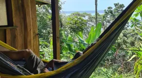 Live the Jungle - Rustic Refuge - Image 4