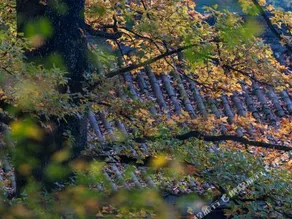 Xiaoqi Inn - Image 5