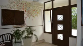 Xanemos Studios - Image 3