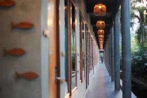 The Buffalo Amphawa - Image 5