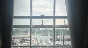 Ivy By The Sea - Image 5