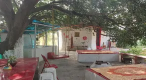 Aalamaram Farm - Image 3