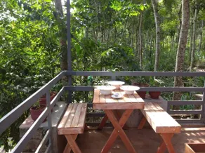 Khaya Gaze medicinal Plantation Guest House - Image 4