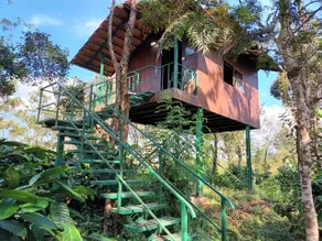 Three house - Image 3