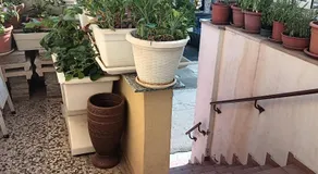 Casa Nashi - Image 3