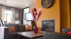 B&B Fruithof Tack - Image 4