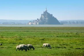Hyggeligt hjem ved Mont St. Michel Bugt - Image 4