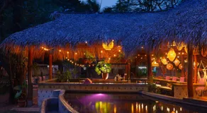 the SPACE Jungle Oasis - Image 2