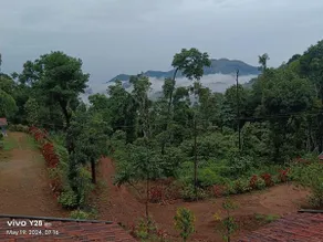 Green Echoes by Tripture - Holiday Villas in Coorg - Image 4