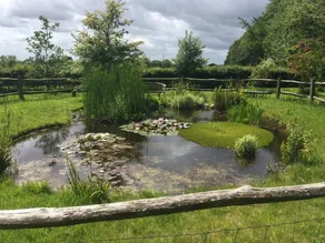 The Granary Bed and Breakfast - Image 4