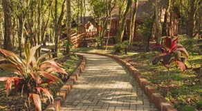 Cabanas dos Plátanos - Image 3