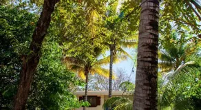 Playas del Coco, Guanacaste, Costa Rica - Image 4