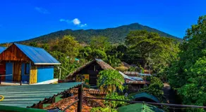 Lazy Crab Hostel - Image 3